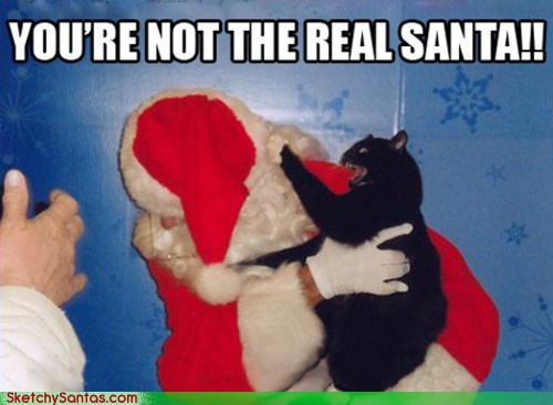 You're not the real Santa Cat attacking Santa