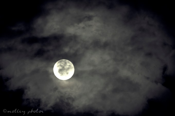 Photo Project 365 010812 Full moon
