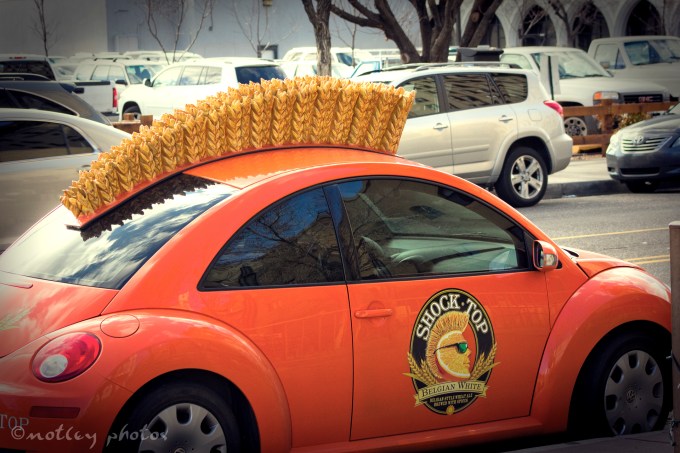Photo Project 365 010912 A beetle with a mohawk