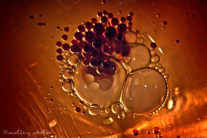 Photo Project 365 012712 Vinegar and oil floating in water