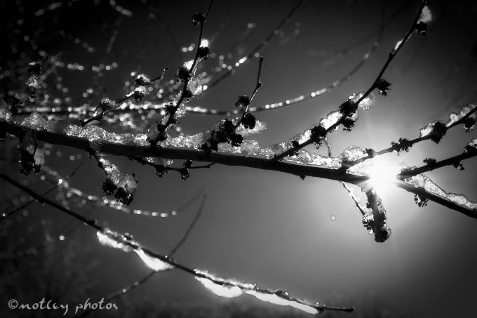 Photo Project 365 021512 Fire and ice