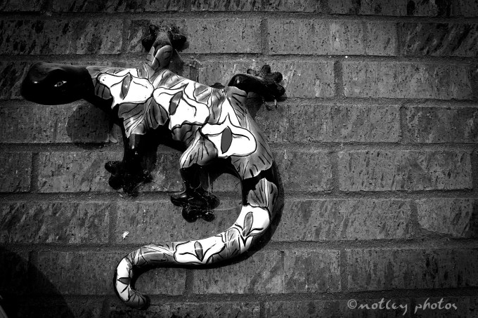 Photo Project 365 021712 Ceramic hand painted lizard in black and white