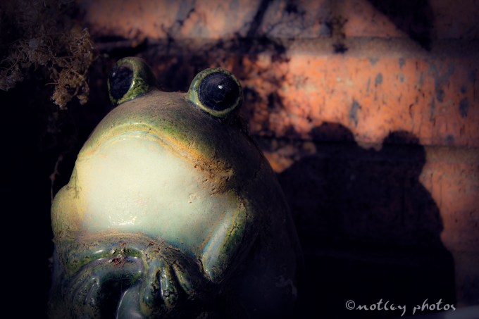Photo Project 365 021812 Ceramic frog