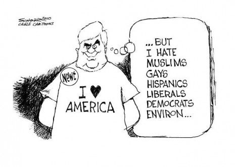 Political cartoon on Newt racism I love America but hate
