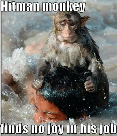Funny photo with caption hit man monkey drowning man