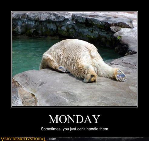 Funny photo with caption polar bear can't hand monday