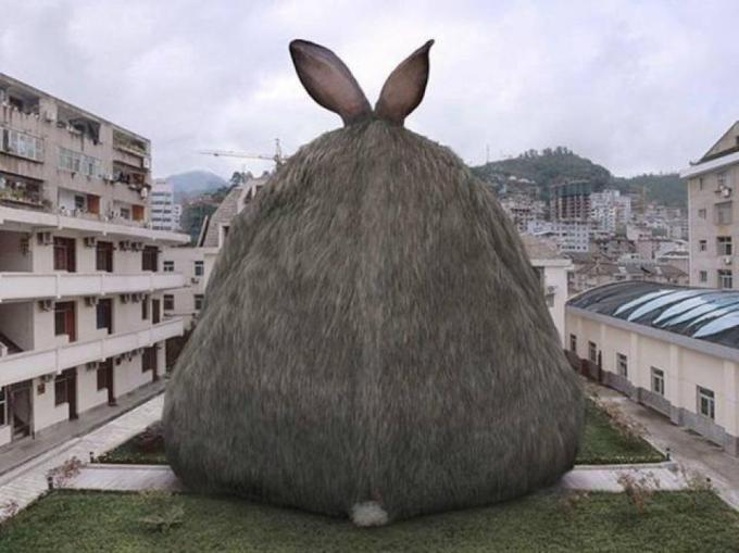 big bunny