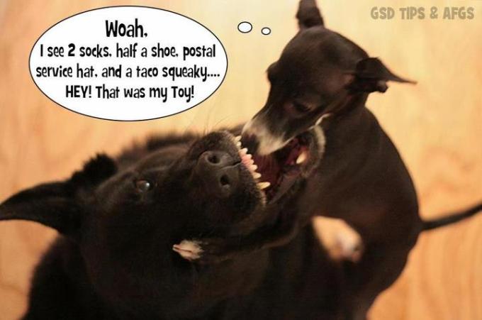 woah that's my toy down there funny photo with caption