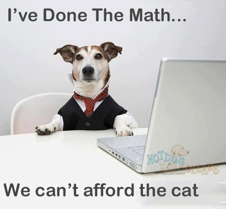 can't afford the cat