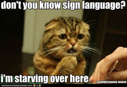funny-pictures-americat-sign-language