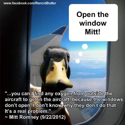 Romney windows dont roll down duck asking to open the window airplane