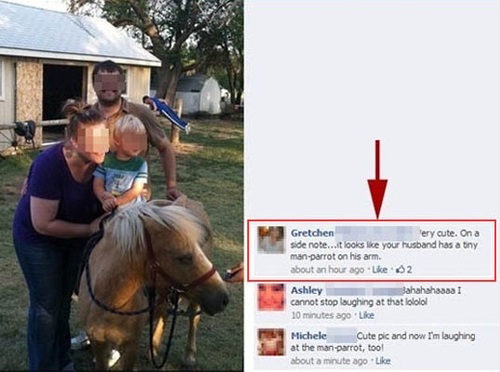 Funny Facebook post man parrot on dad's arm