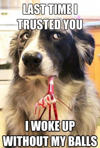 funny dog photo caption last time trusted you woke up without balls