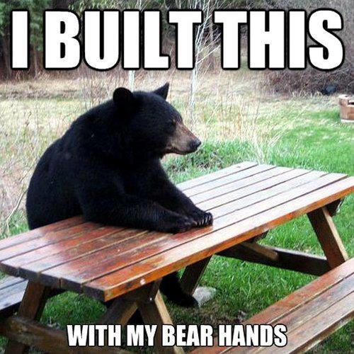 Humorous photo funny caption bear at picnic table built with bear hands