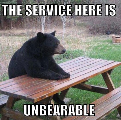Humorous photo funny caption bear at picnic table