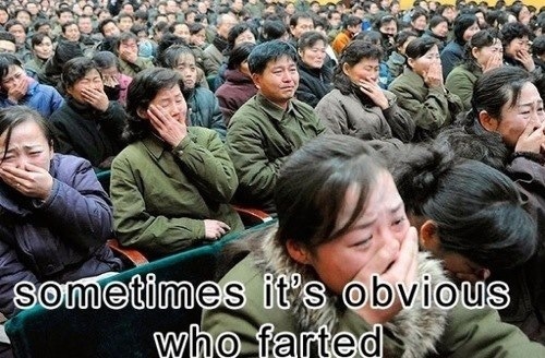 it's obvious who farted
