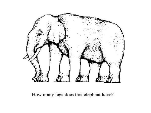 look-twice-illusion-how-many-legs-elephant