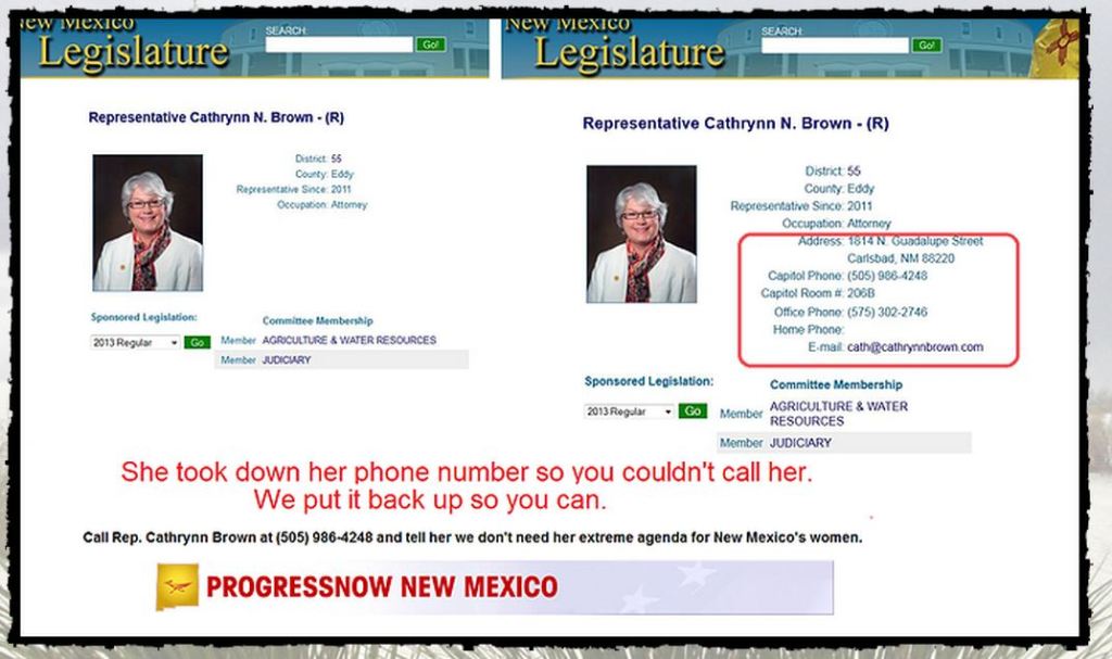 NM Rep Cathrynn Browns contact information