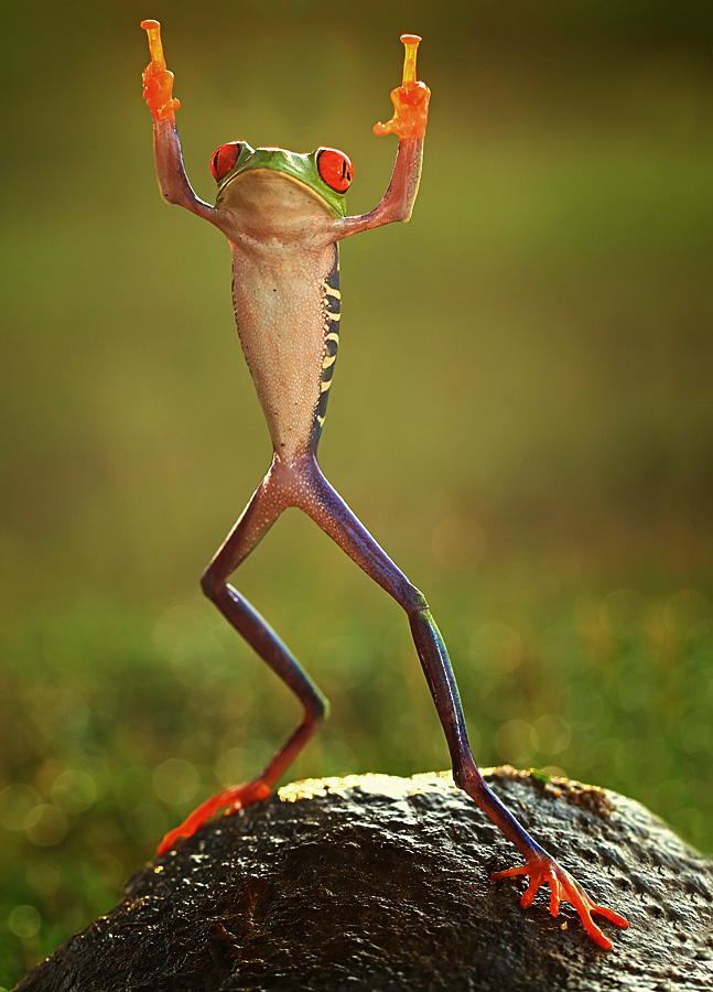 Shikhei Goh of Indonesia Frog flipping the double-bird not photoshopped