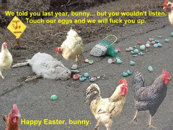 easter humor chickens killed easter bunny