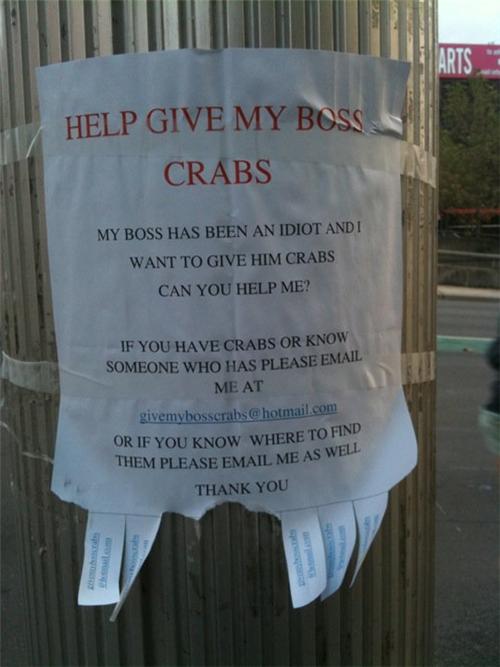 sign wanting to give boss crabs