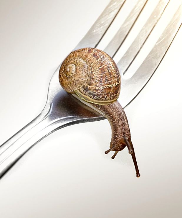 Supposed to cook the escargot before eating it