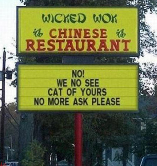 wicked-wok no see missing cat no ask