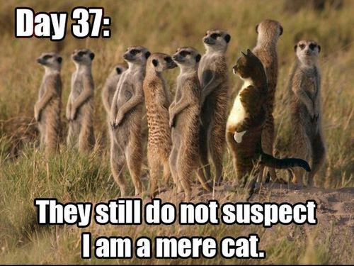 226521_426621114094710_1027151783_n