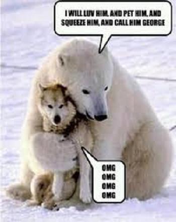 dog humor husky hugged by polar bear
