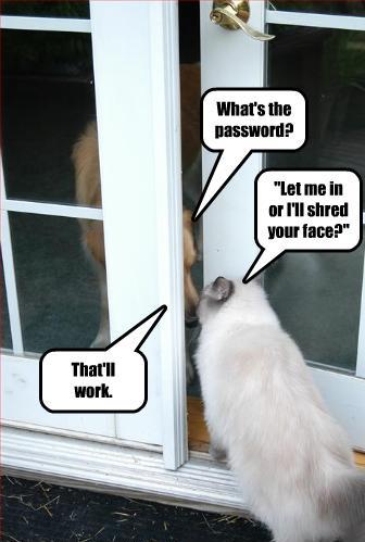 Funny animal photos captions 02