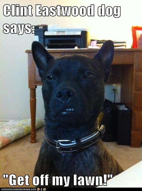 Funny dog photo caption Clint Eastwood dog says get off my lawn curled lip