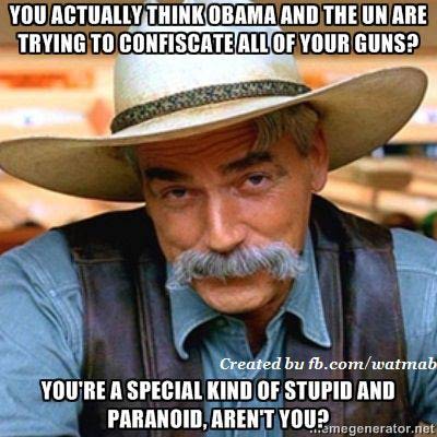 gun-grab-stupid