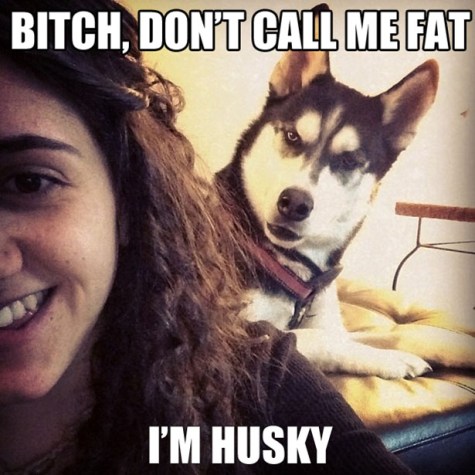 husky fat