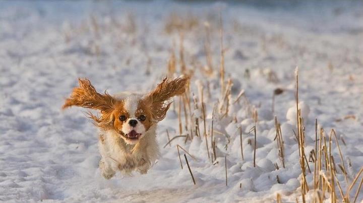 It's the never ending story