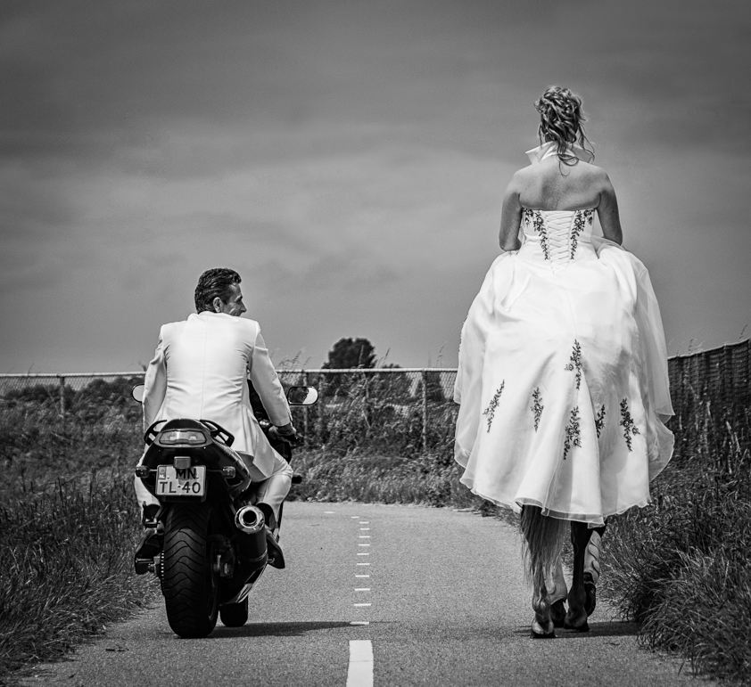 Optical Illusion woman on horse legs