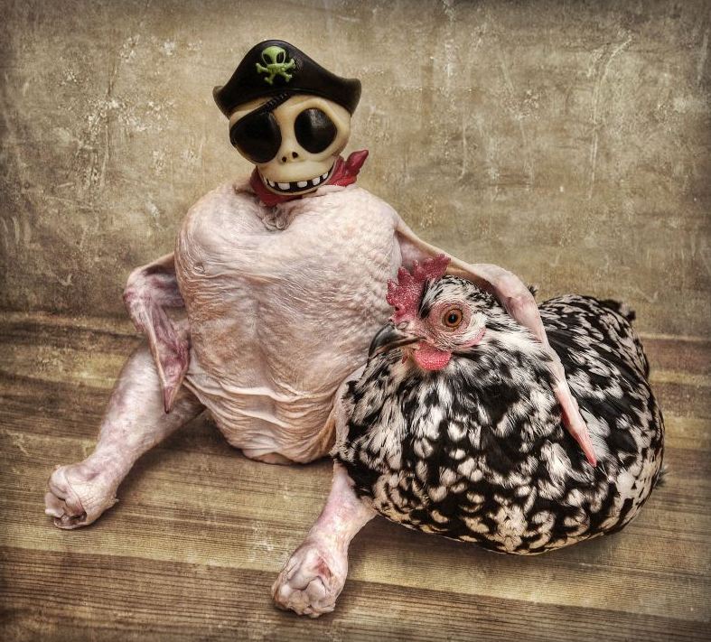 Pirate chicken