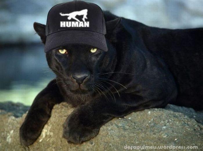 puma human hat