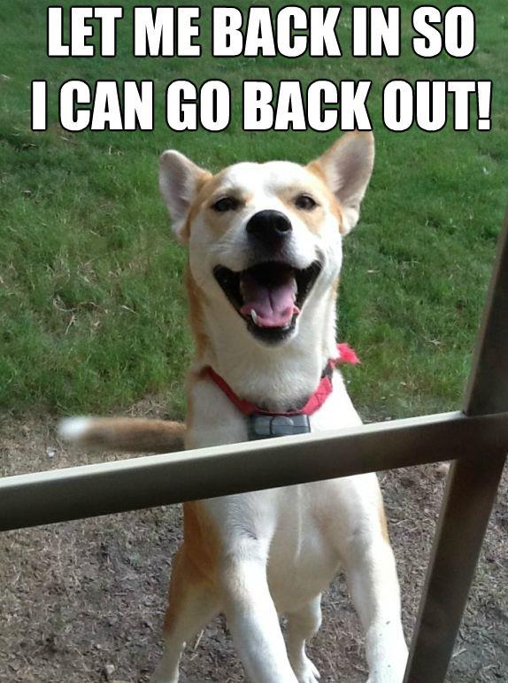 253176_10151107188988673_29791454_n