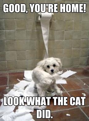 304577_10151108647236997_1782138385_n