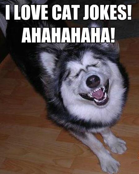 388809_10151128822223673_1359456094_n