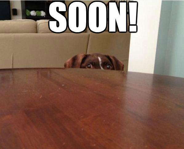 62228_10151192601483673_1181211650_n