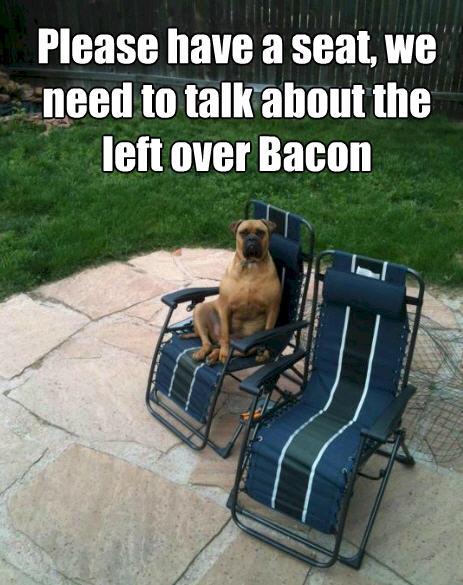 bacon