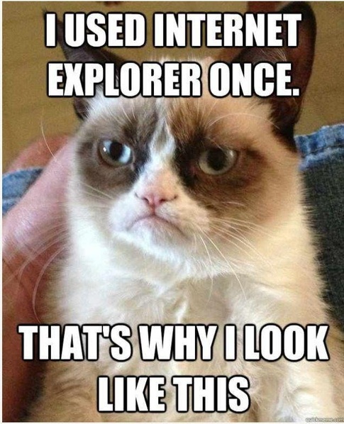grumpy cat IE