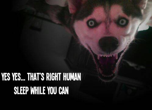 hope_you_werent_planning_on_sleeping_tonight_33_photos0