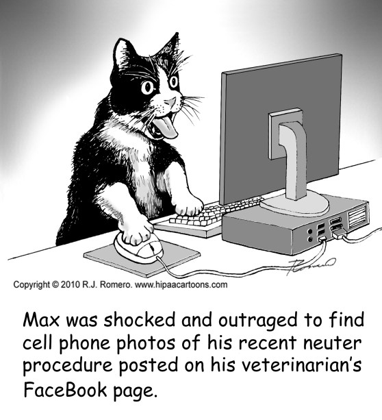 cartoon-cat-on-computer-sees-photos-on-facebbook_s107