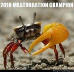 funny_crab_masturbation_champion