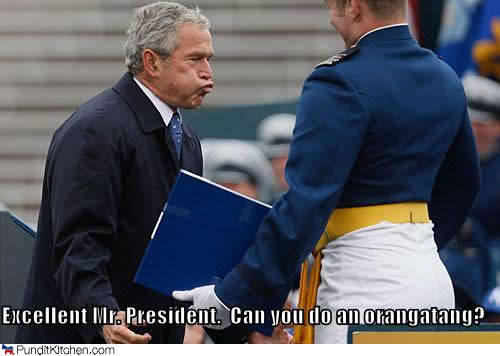 bush-orangatang-funny-photo-meme
