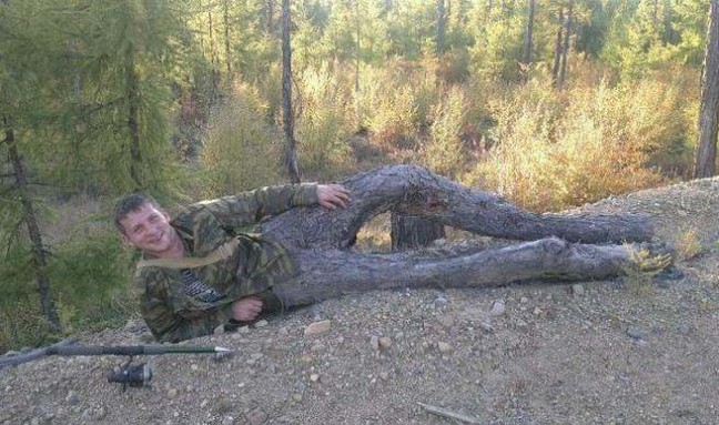 photos mess with mind tree legs