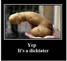 Penis-shaped potato.