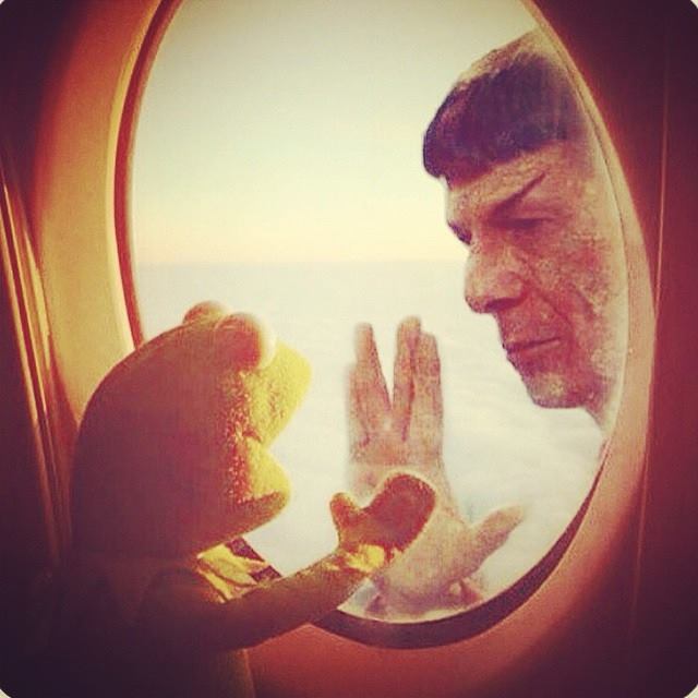 Leonard-Nimoy-meme-10-kermit